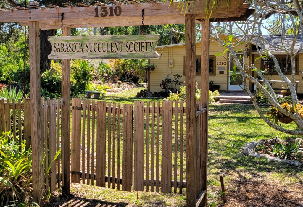 Sarasota Succulent Society Gardens
